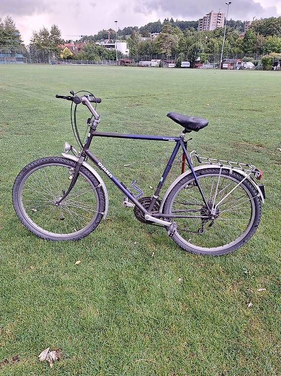 Biciclette: Diana mountain-citybike – Usato da Winterthur venduto da bis_6s2h