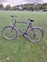 Diana mountain-citybike