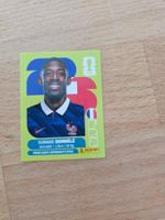 Panini Sticker FRA 15
