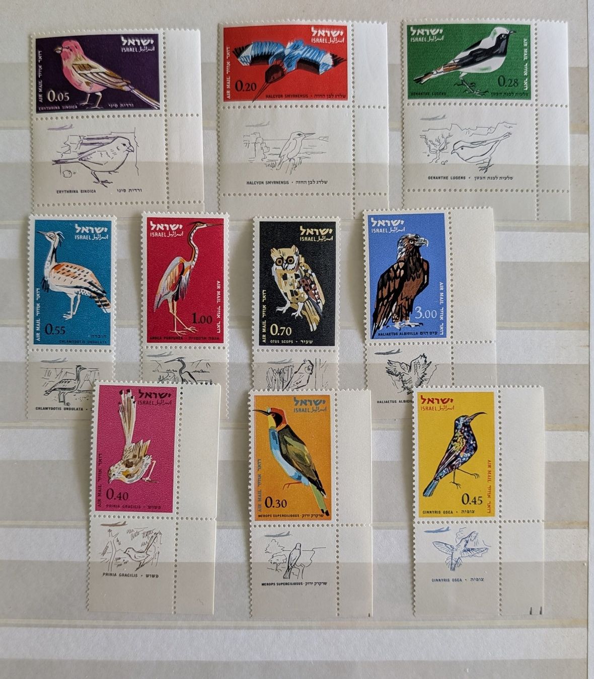 Tutti i francobolli: ISRAEL FLUGPOST VÖGEL 1963** POSTFRISCH – Nuovo (secondo la descrizione) da Düdingen venduto da Quartierstrasse