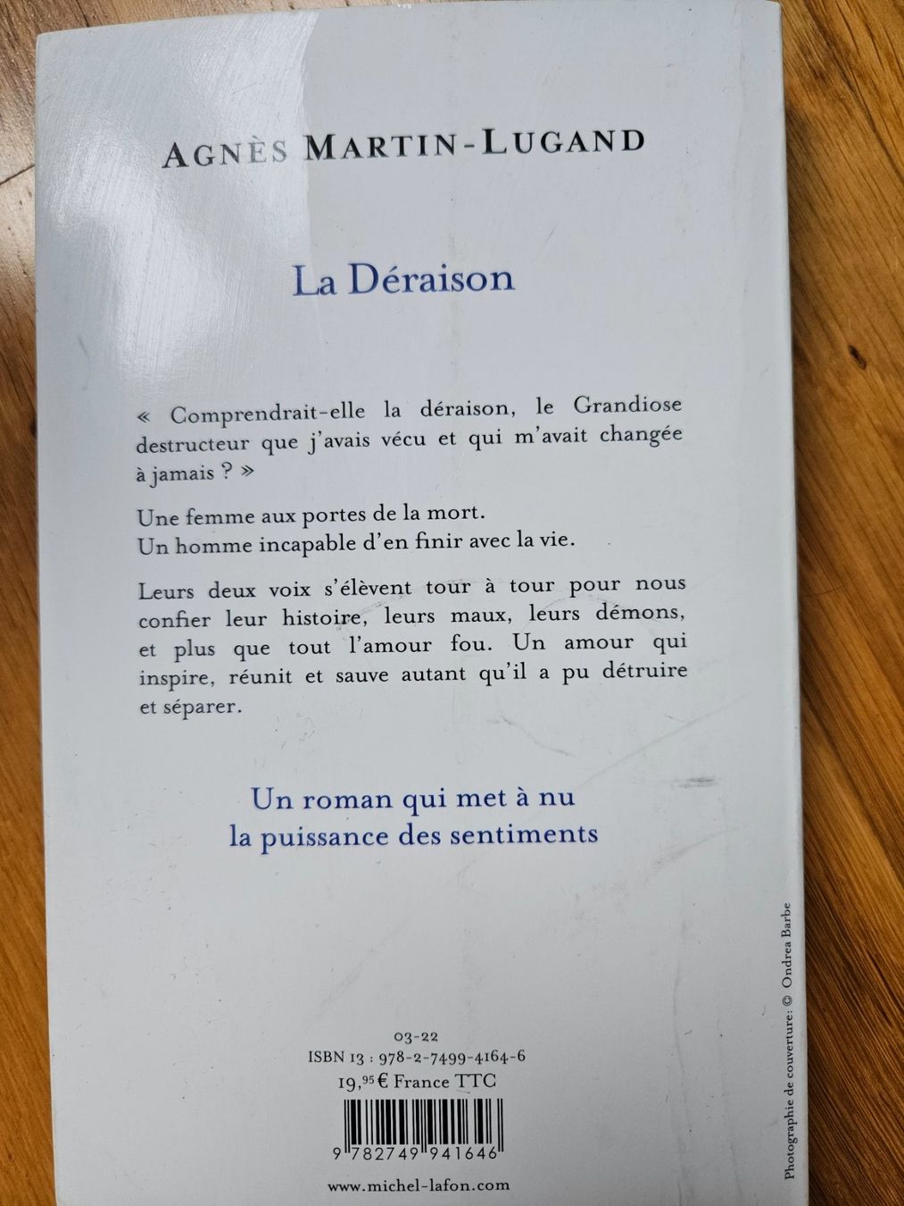 Libri: La Déraison, Agnès Martin-Lugand, roman – Usato da Vevey venduto da chr_q9cd 1