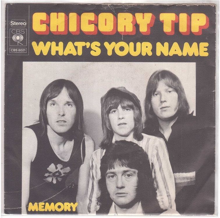 Dischi in vinile: Chicory Tip  --  What`s your name   Single7 – Usato da Oberwil (Dägerlen) venduto da asteng