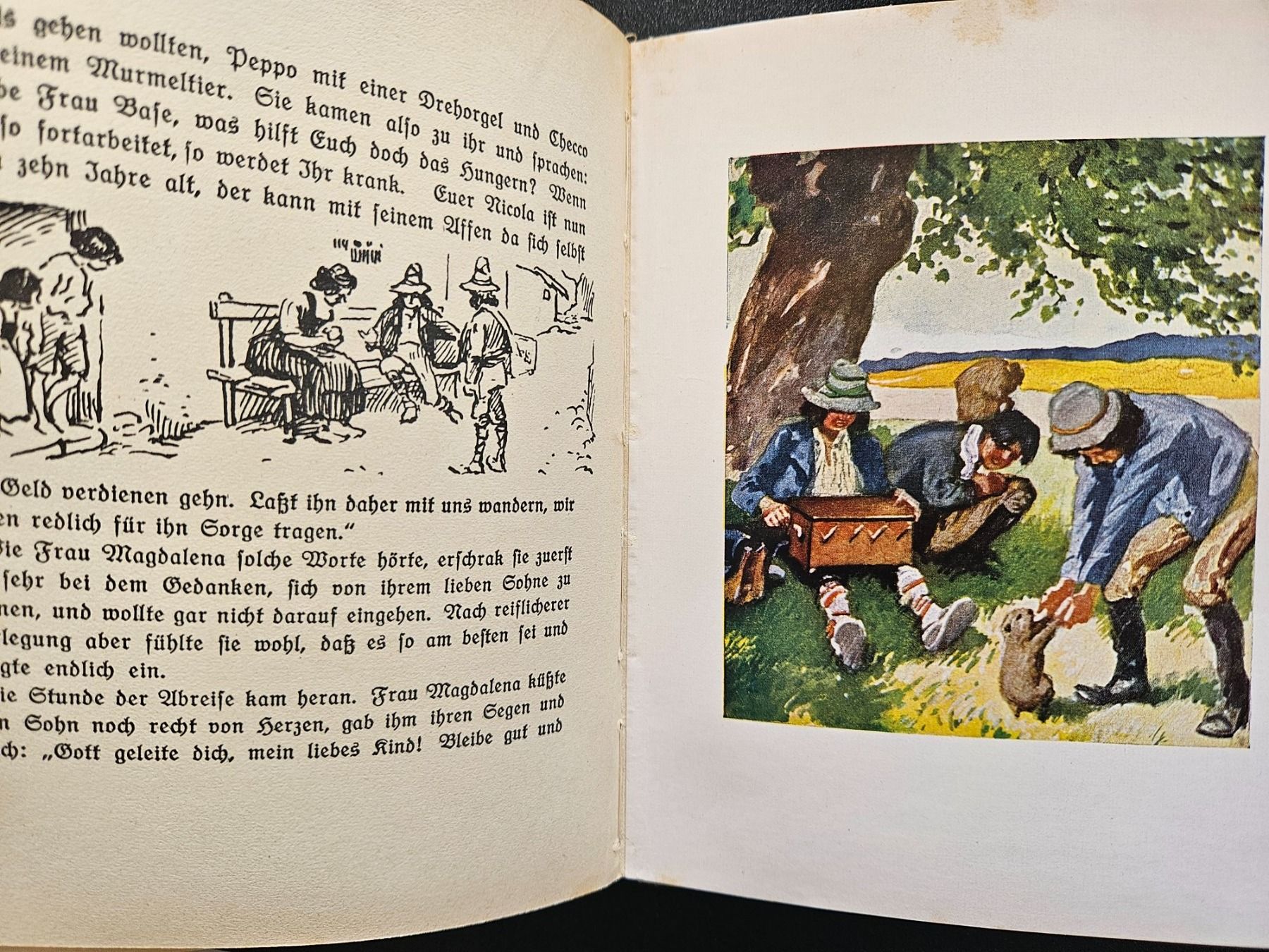 Bücher: Märchenstrauss Kindermärchen der Brüder Grimm – Gebraucht aus Urdorf von Colina 6