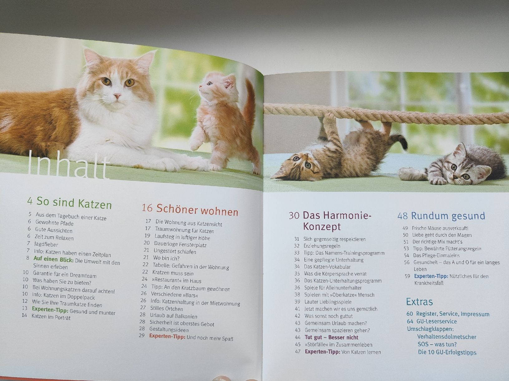 Libri: 2 GU Ratgeber Katzen: Verhalten & Wohnung – Usato da Morschach venduto da ClKi04 2