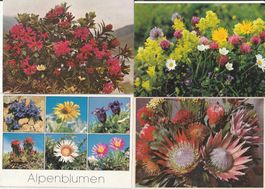 16 Schöne Blumenkarten