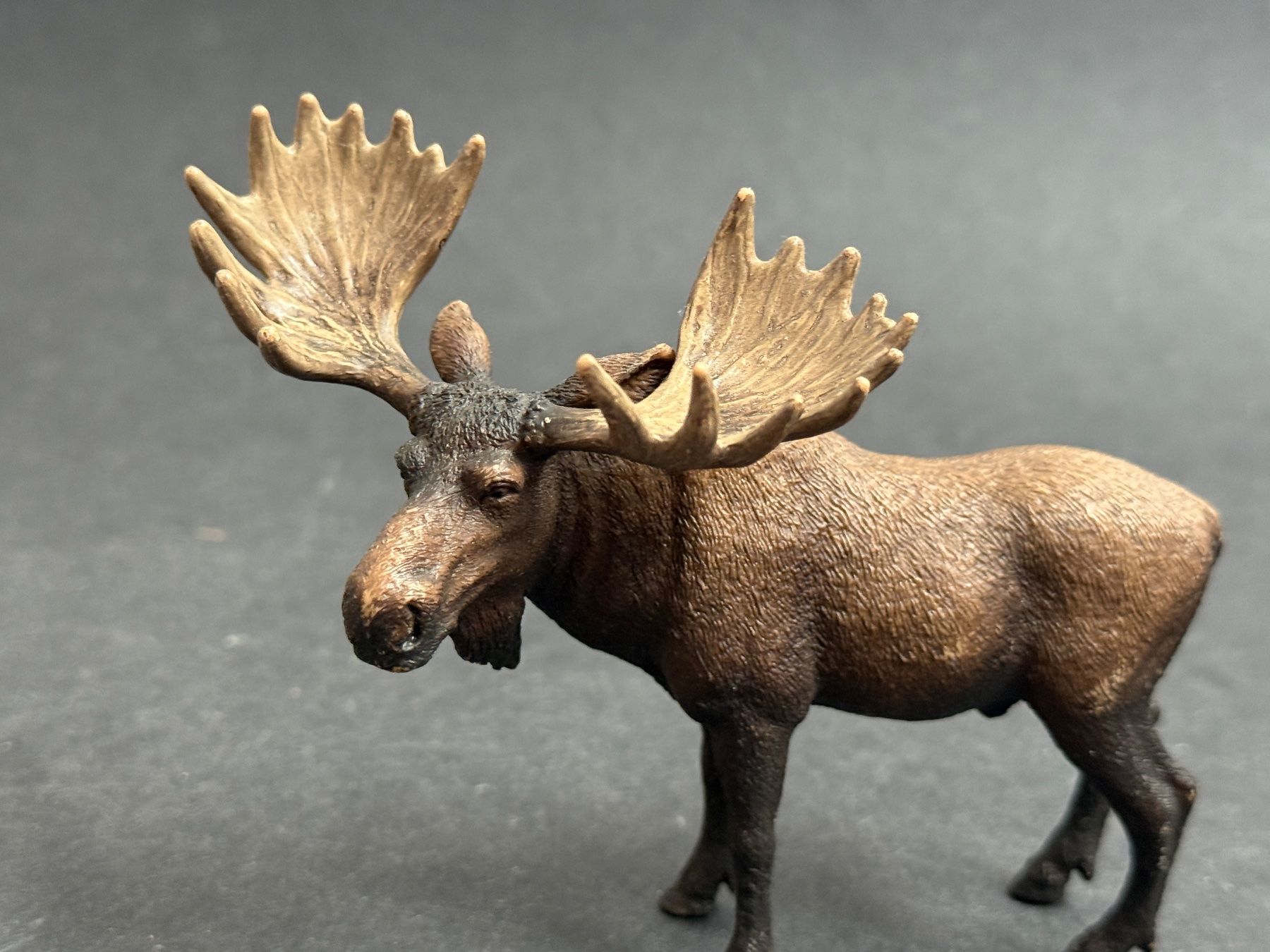 Schleich Statuette: Schleich Elch Bulle – Usato da Ennetbaden venduto da mapa05 3