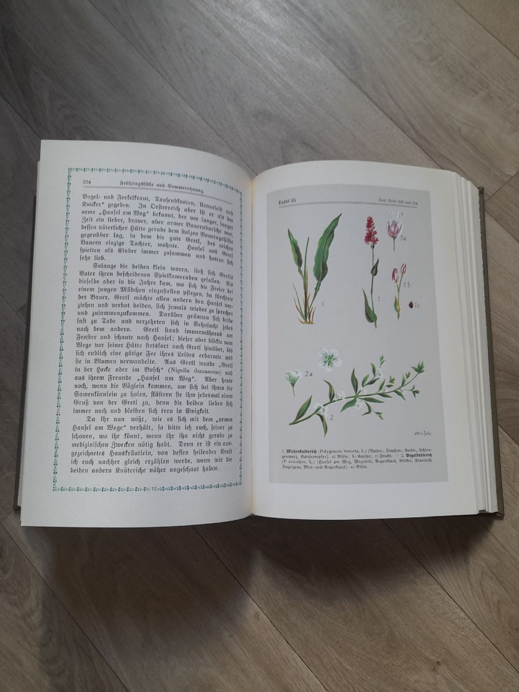 Bücher: Kräutersegen 1896 – Gebraucht aus Basel von Basel_20 5