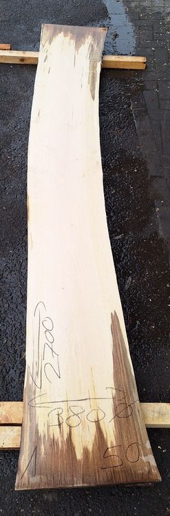 Articles en bois: Nussbaumbrett 50mm – Neuf (Voir description) à Waldkirch par bauprofi87