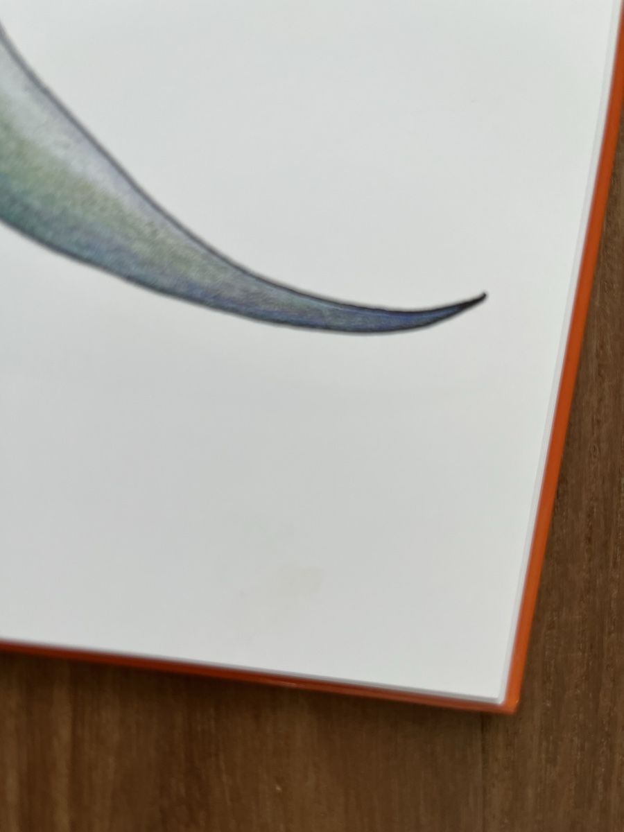 Libri: Buch- Dino zeigt Gefühle – Usato da Luzern venduto da Aldabema 7