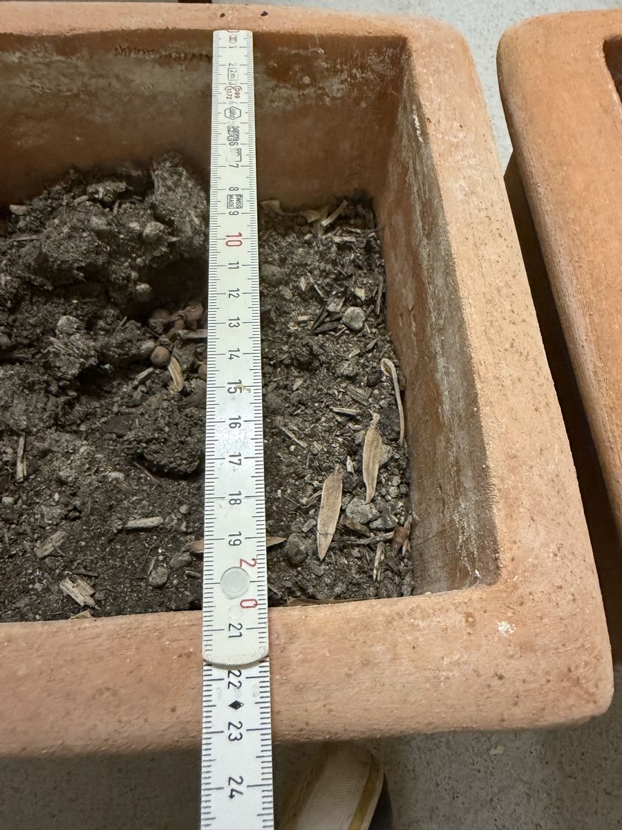 Vasi per fiori: 5 Blumentöpfe Impruneta Terracotta – Usato da Wettingen venduto da NickInc 6