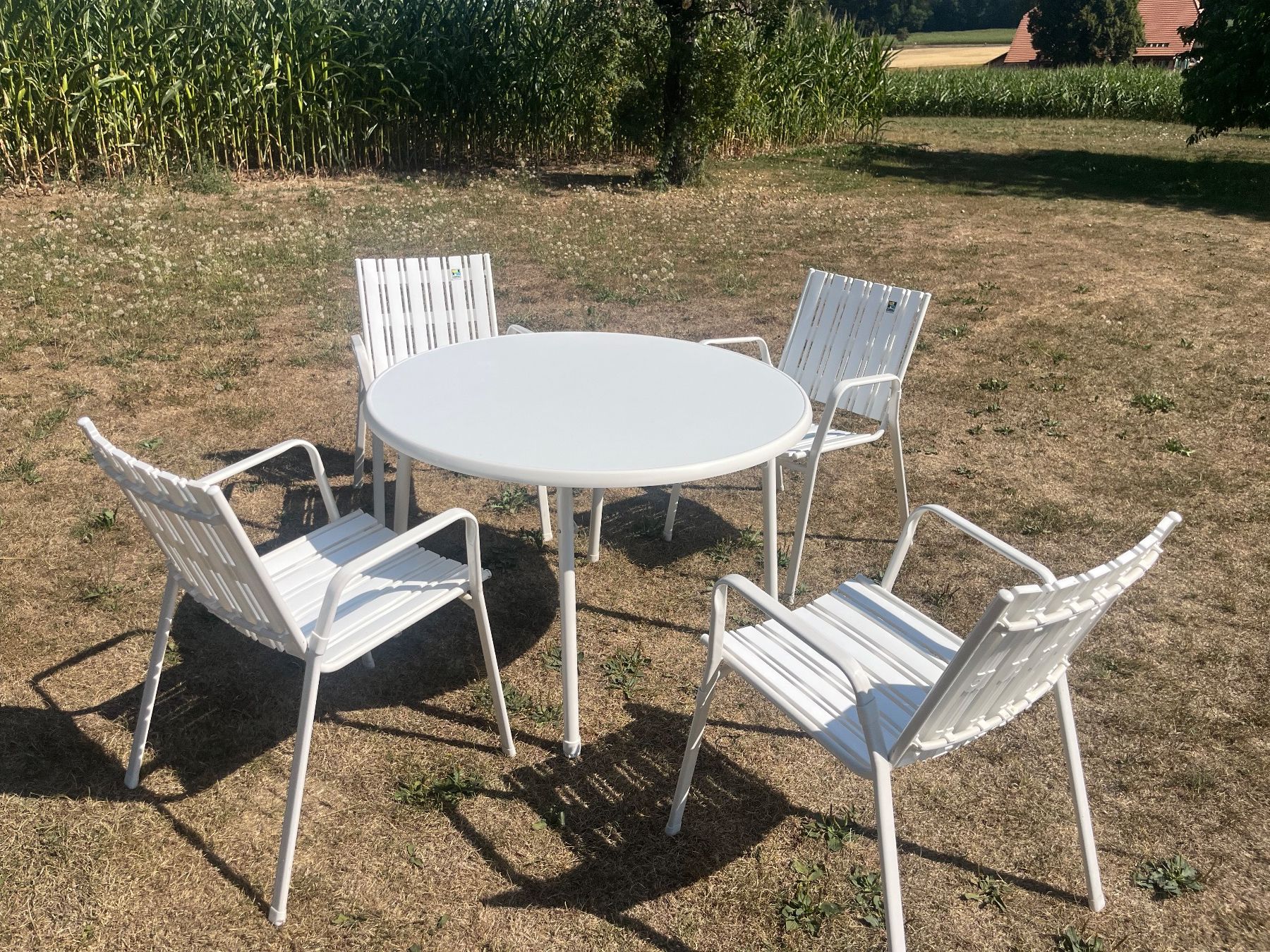 Tavoli: Gartentisch und 4 Stühle Stappelbar – Usato da Allmendingen b. BE venduto da juair