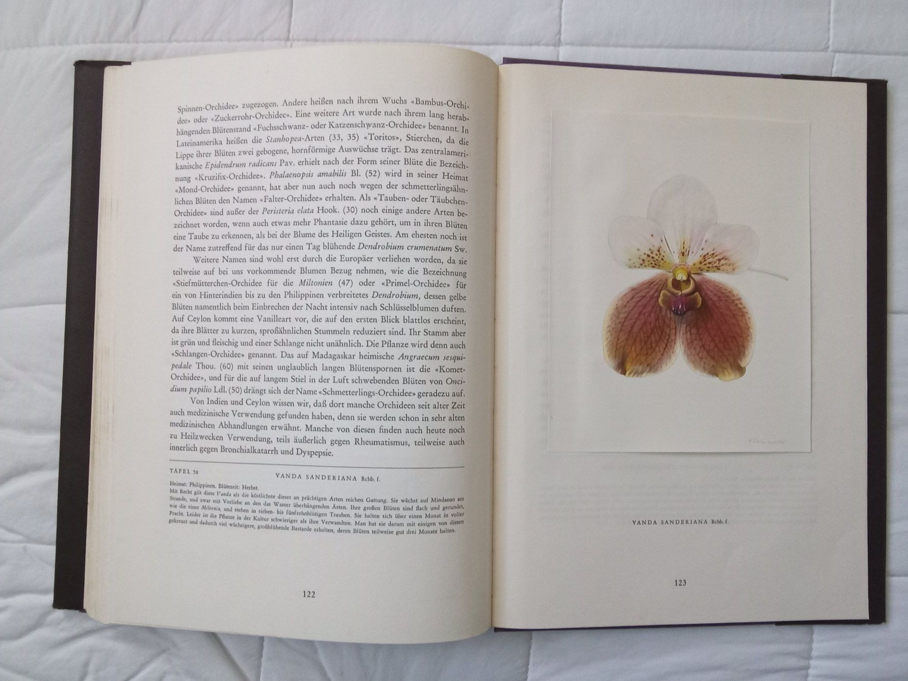 Bücher: Silva Buch Orchideen – Gebraucht aus Zürich von tol_b7c7 5
