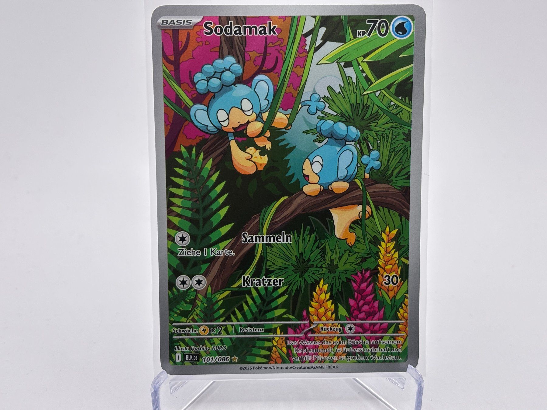 Pokémon Carte collezionabili: Schwarze Blitze - Sodamak  (BLK 101) - DE – Nuovo (secondo la descrizione) da Allschwil venduto da Bullach