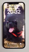 iPhone 12 Pro Max 256 GB Pazifikblau