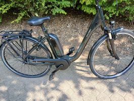 E-Bike Raleigh - Modell Kingston 7 Plus (2021)