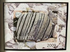 Schweiz 2009 Vignette Gletscherschutz aus Jahressammlung