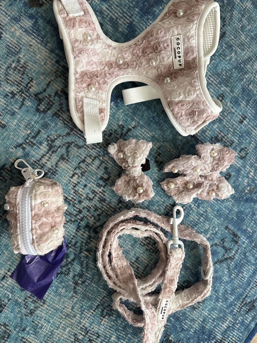 Attrezzatura da arrampicata: CoCoPup London Hunde Set S – Usato da Zürich venduto da wil_2sm9 1