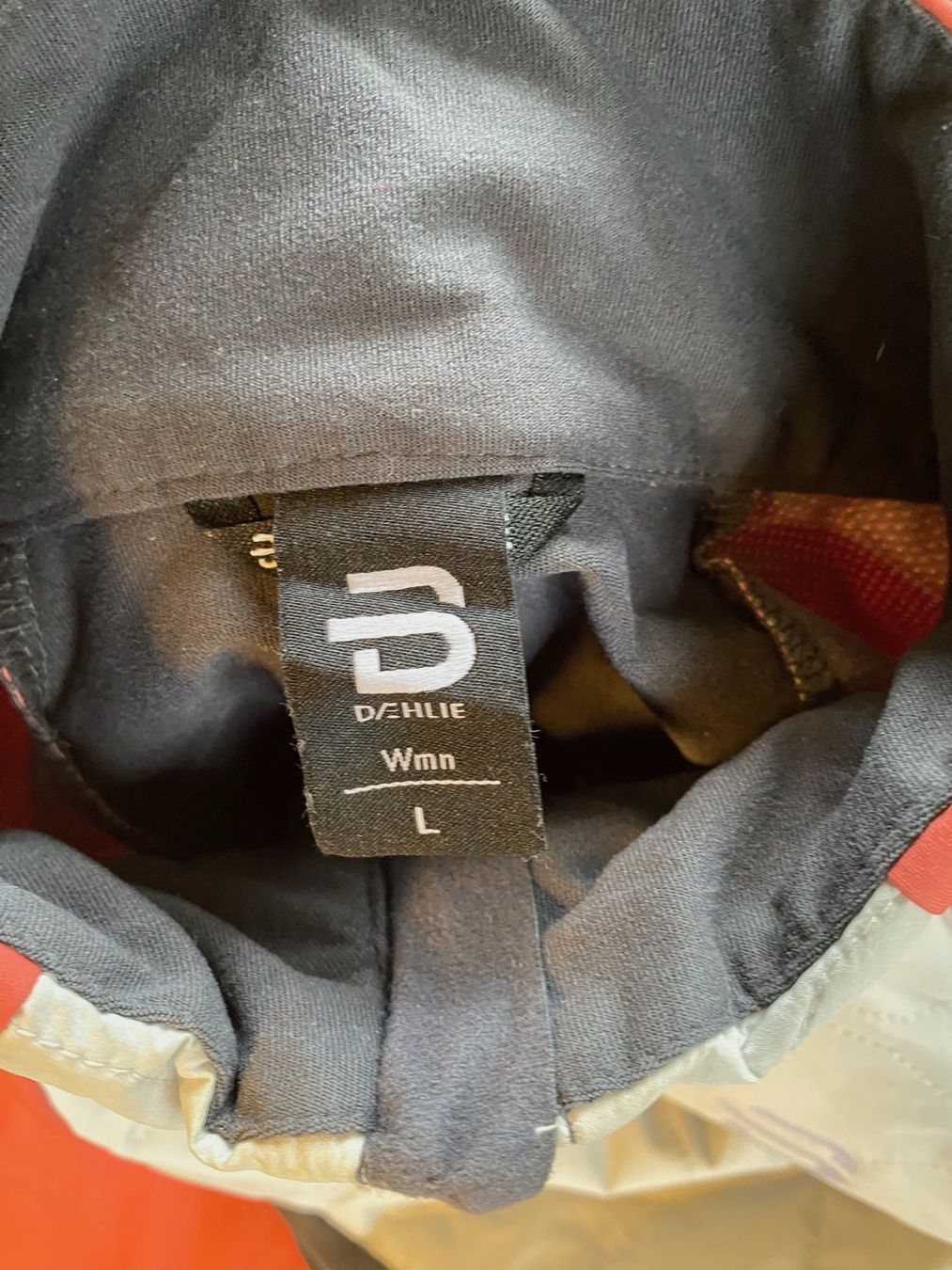 Giacche: Langlauf Jacke mit Hose Daehlie L – Usato da Ebnat-Kappel venduto da del_9vyy 1