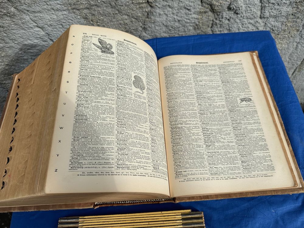 Webster's International Dictionary of English Language 1901 | Kaufen ...