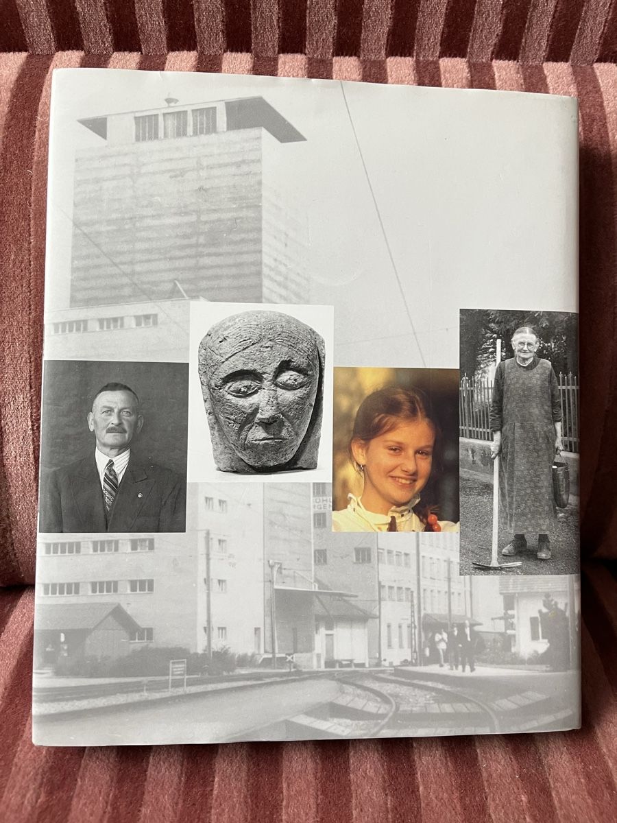 Libri: Villmergen eine Ortsgeschichte – Usato da Hermetschwil - Staffeln venduto da Juergso 1