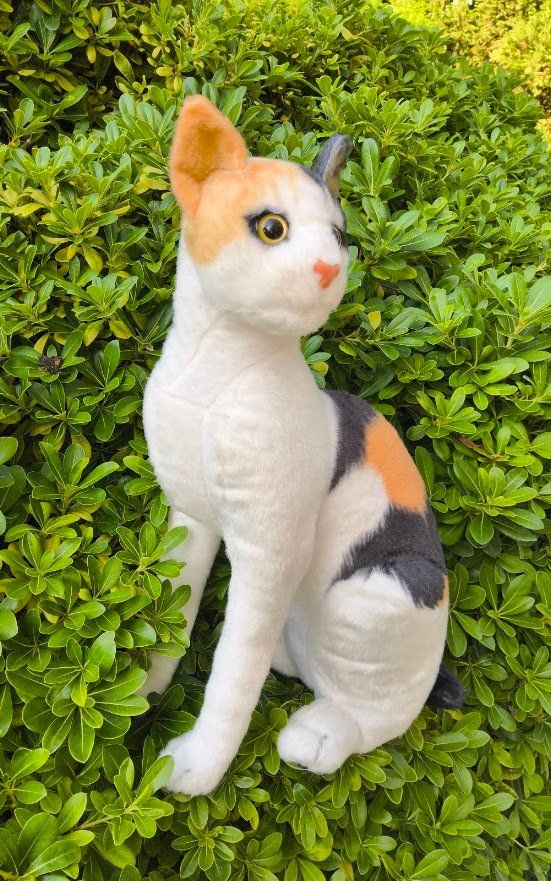 Giocattoli: Plüsch  Katze – Nuovo (secondo la descrizione) da Castagnola venduto da Cat-WomenX 4