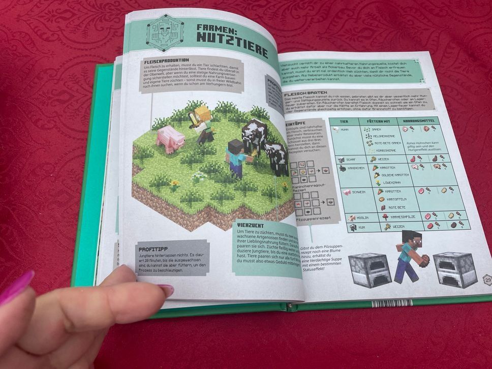Bücher: Minecraft Buch NEU – Neu und originalverpackt aus Bergdietikon von antovale 1