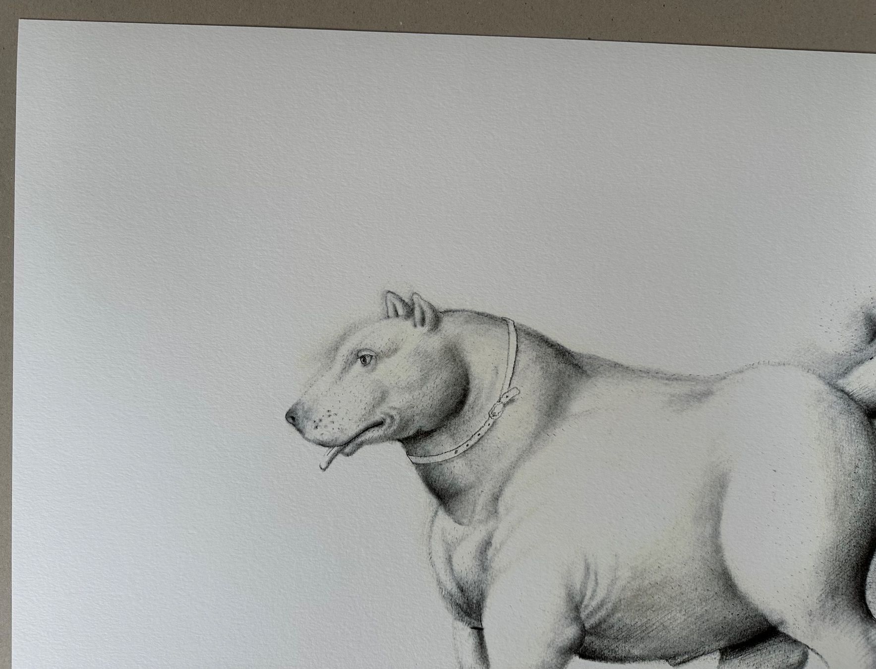 Posters & Illustrations: Fernando Botero: Dog 24/300 – Neuf (Voir description) à Meilen par Smgdesign 3