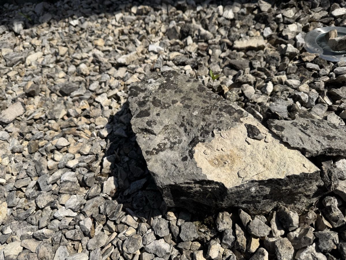 Pietre & tegole: Randsteine / Gartensteine fast gratis - selbstabholen 8182 – Usato da Hochfelden venduto da Patrick_222