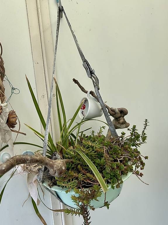 Vasi per fiori: Blumenampel  – Usato da Frauenfeld venduto da Irene.Schuppli