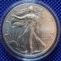 2021 American Eagle Type 2
