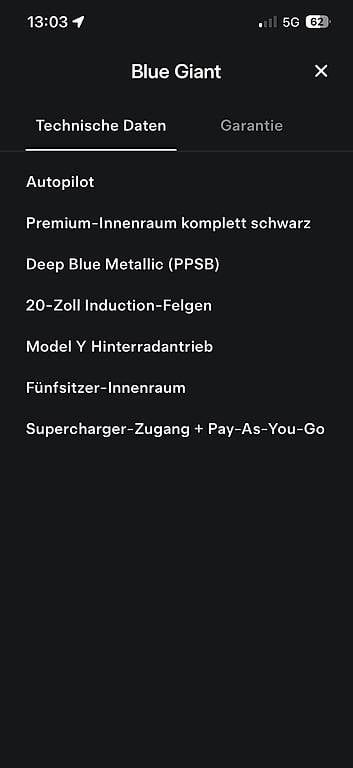Tesla Automobili: Tesla Model Y, LFP – Usato da Thalheim venduto da St.Meister 8