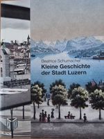 Kleine Gesichten der Stadt Luzern