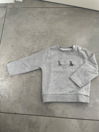 Sanetta, toller Pulli, Langarmshirt, grau, Hund, Gr. 68