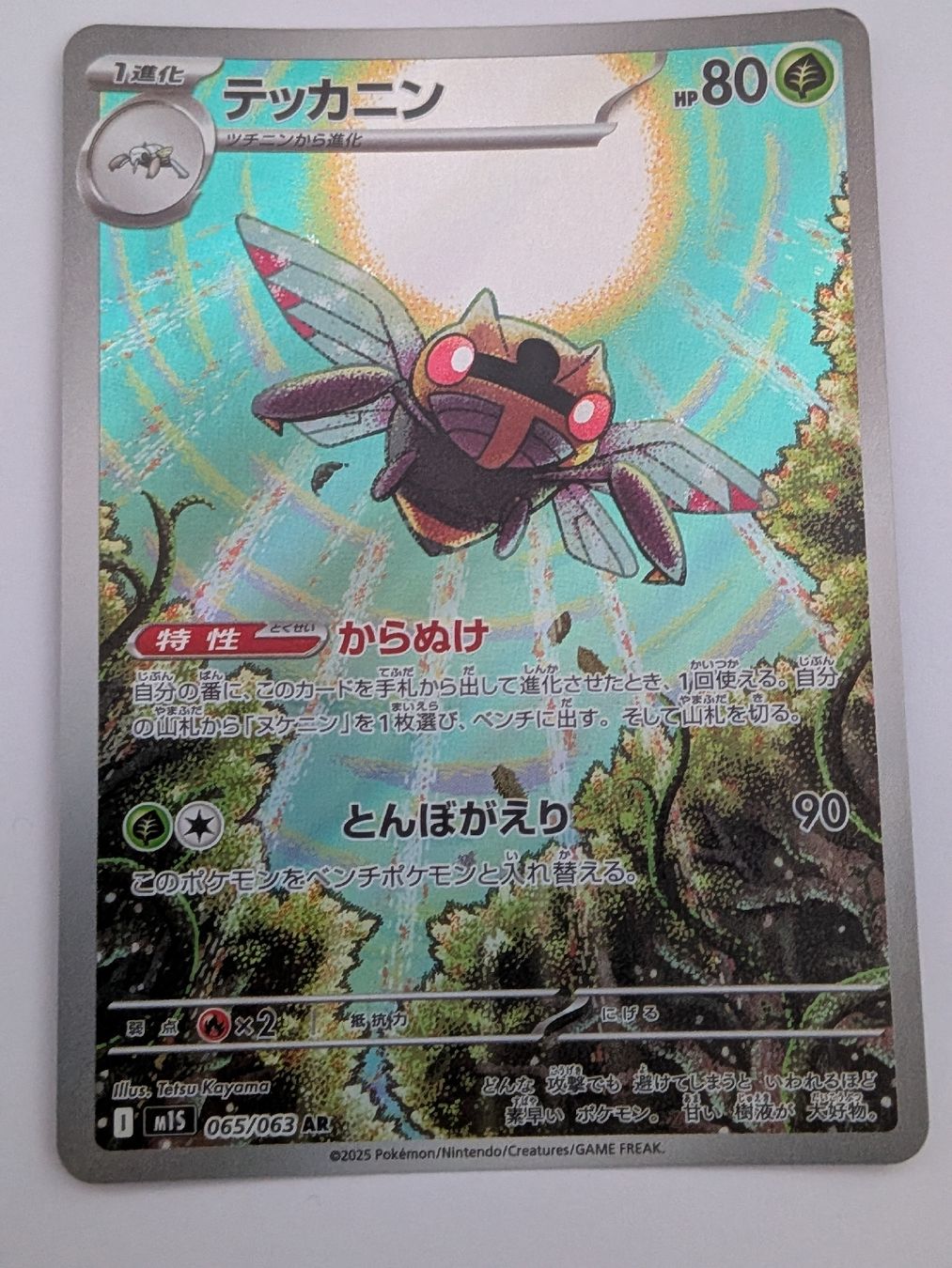 Pokémon Carte collezionabili: Pokemon Ninjask JP 065/063 AR – Nuovo (secondo la descrizione) da Schaanwald venduto da kim84