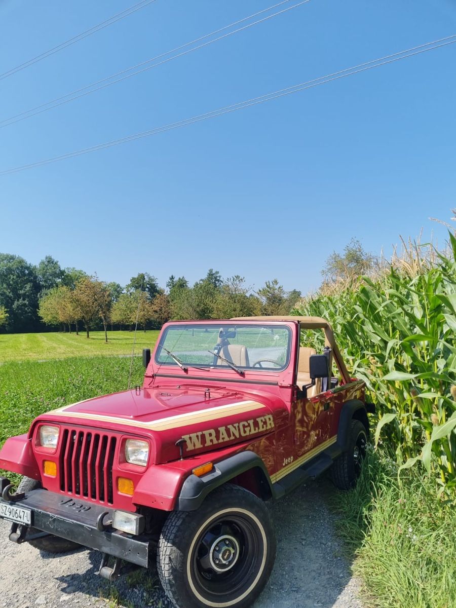 Jeep Automobili: Jepp Wangeler Auto – Usato da Menzingen venduto da Edelmuni7 4
