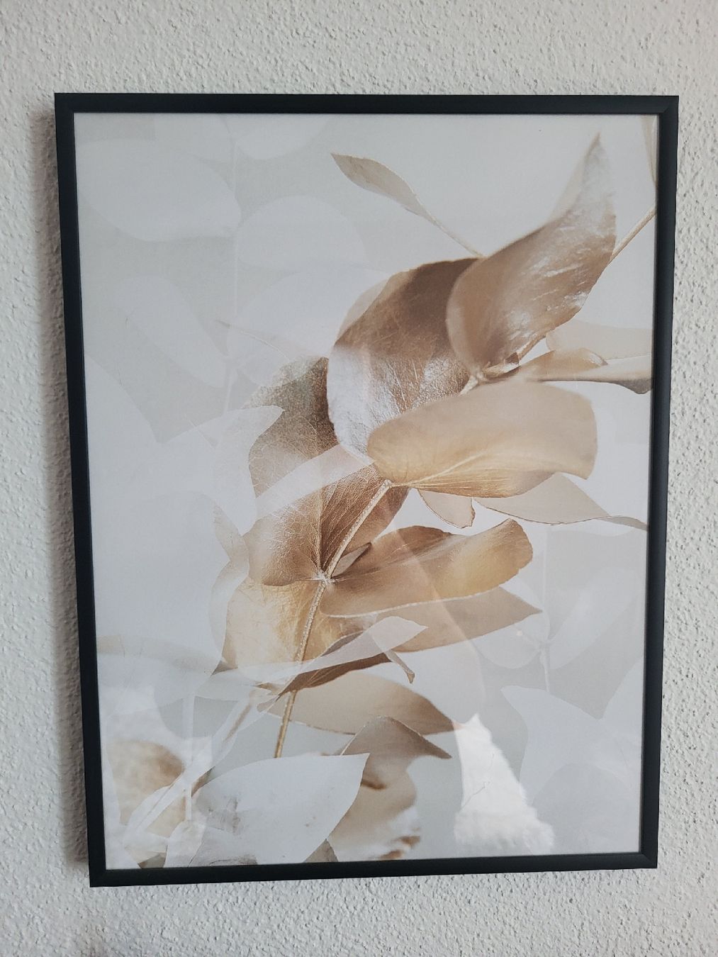 Posters & Illustrations: Blumenbild mit Bilderrahmen – D'occasion à Effretikon par Nessy16
