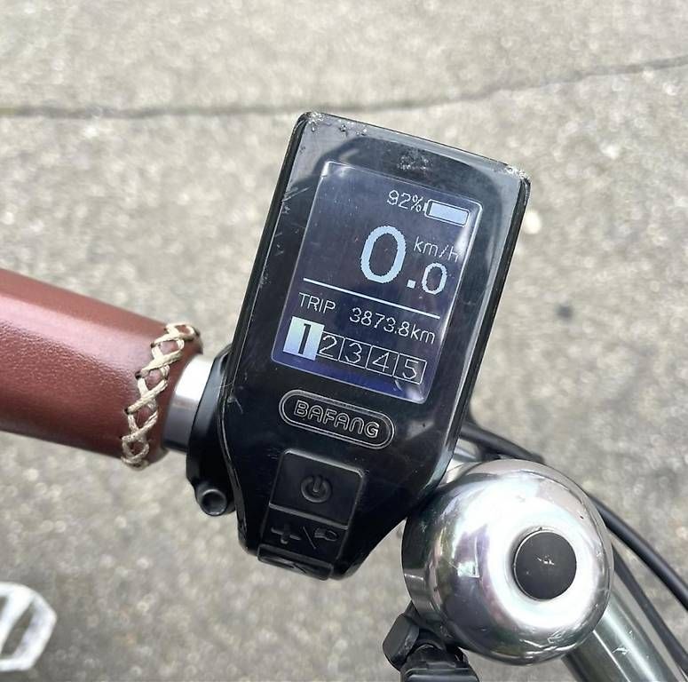Biciclette: E-Bike von Ego Movement, Cleopatra – Usato da Zürich venduto da ipekc 2