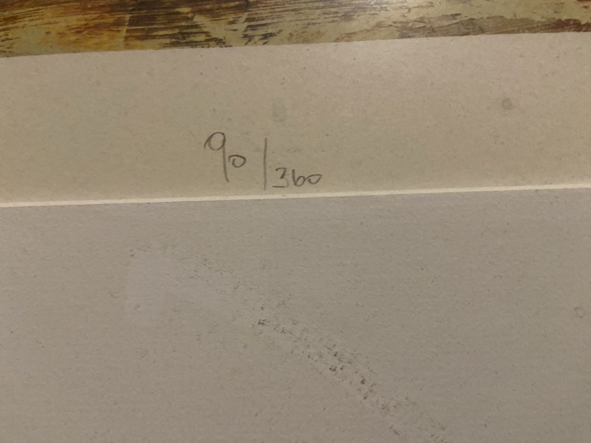 Foto & Immagini: Matthias Rusch Lithografie – Usato da Lachen SZ venduto da Buppo 2