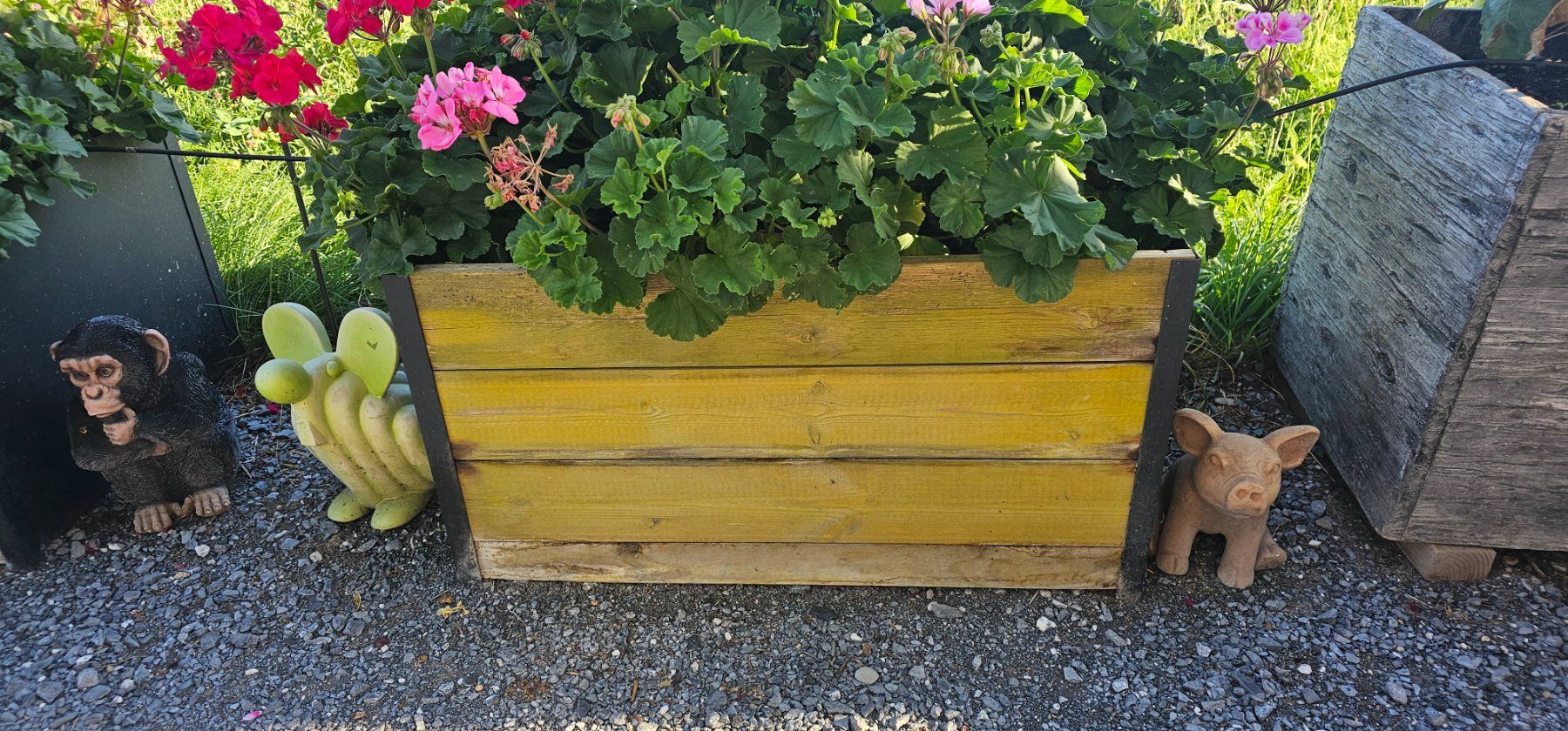 Pots de fleurs: Hochbeet – D'occasion à Wittenbach par fam_stu