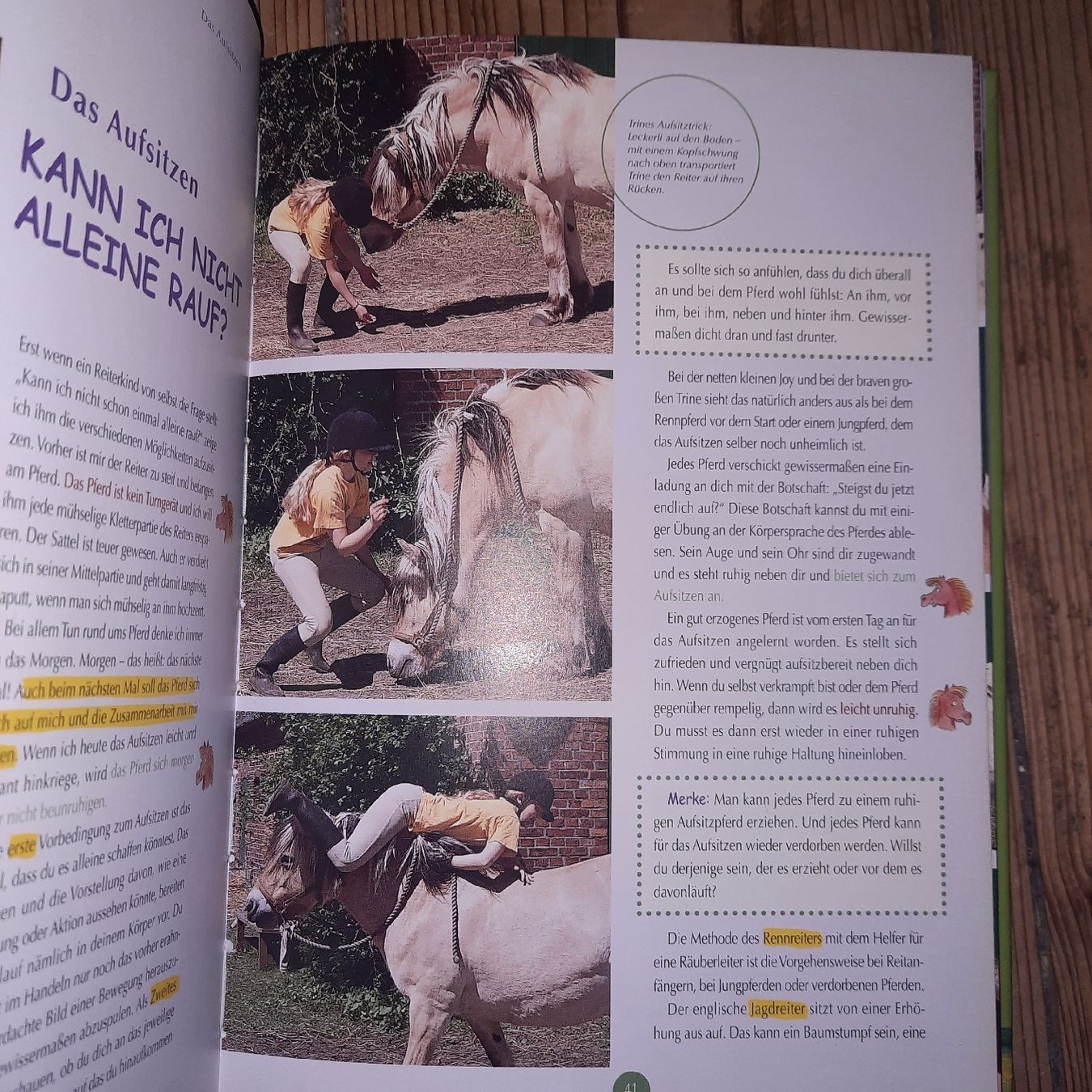 Bücher: Mary Lous Ponyclub – Neu (gemäss Beschreibung) aus Riedikon von cor_7jcd 7