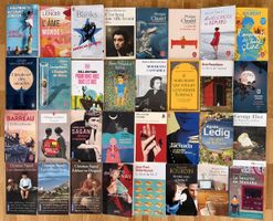 Magnifique lot de 32 romans au format poche