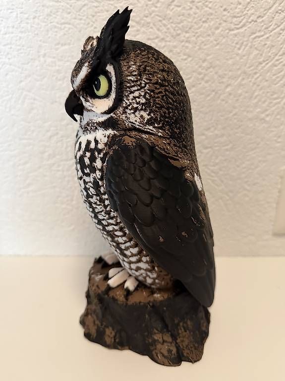 Sculture & Statue: Statue Hibou grande taille – Nuovo (secondo la descrizione) da Ollon VD venduto da reefguard 2