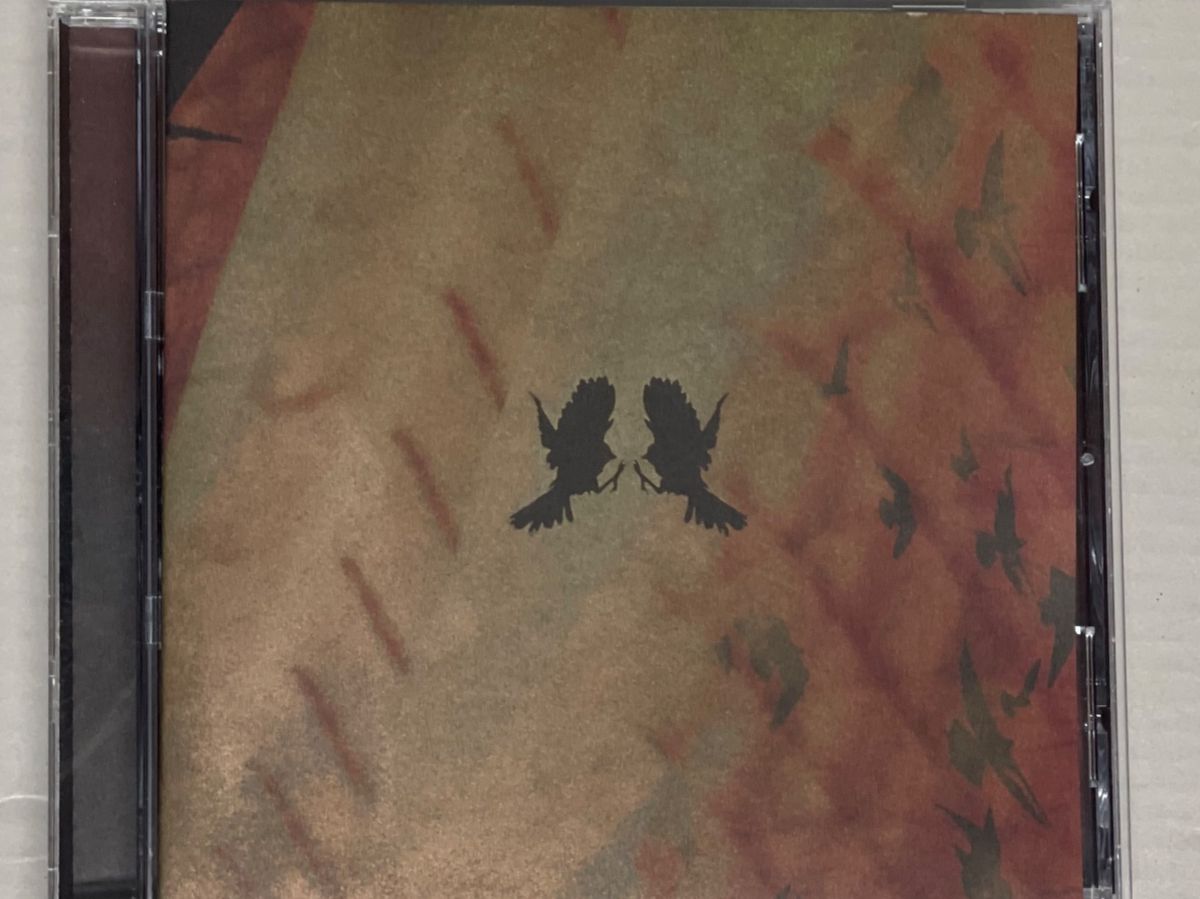CDs: Red Sparowes - Every Red Heart Shines – D'occasion à Muri b. Bern par AdidasCollector 4