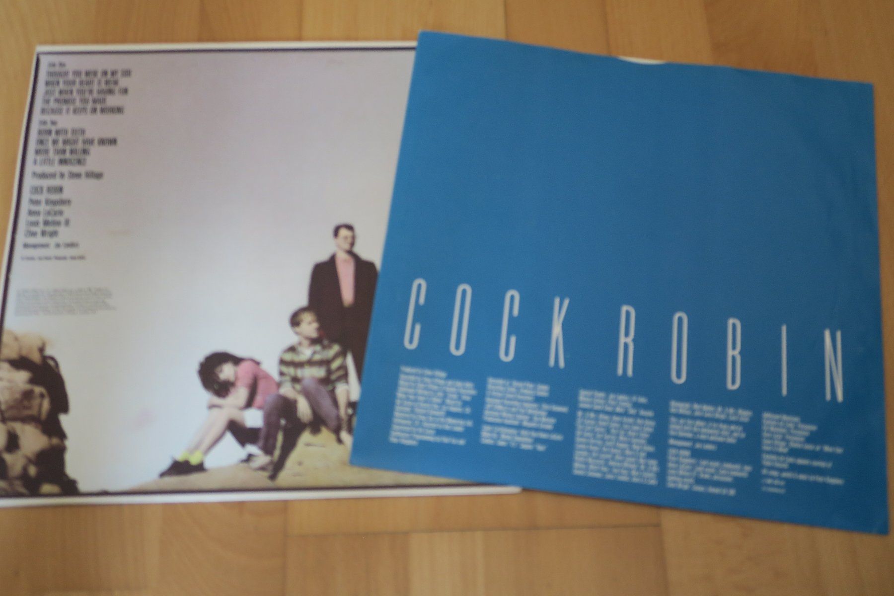 Dischi in vinile: Cock Robin – Cock Robin – Usato da Thun venduto da Karibu70 2