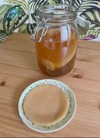Jun Teepilz, Honig Kombucha, Scooby
