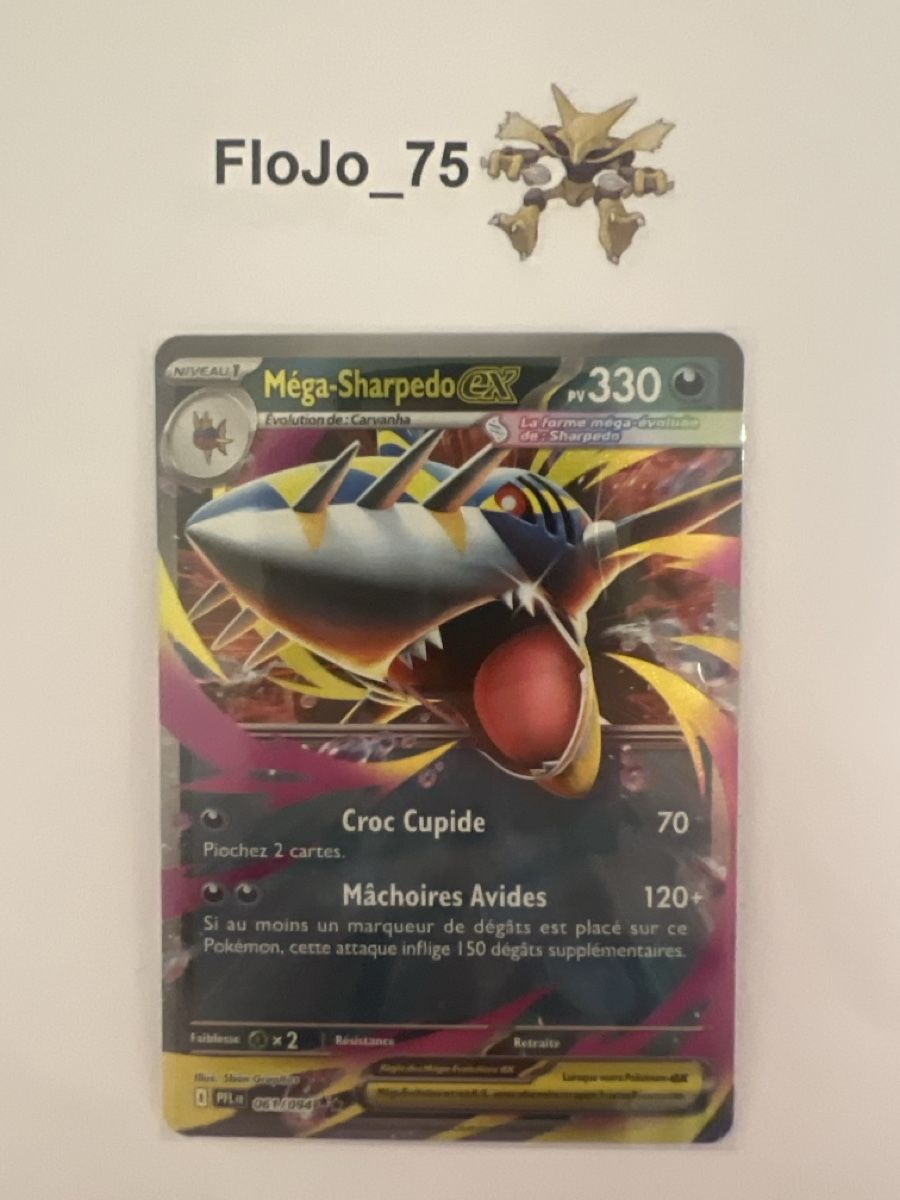 Pokémon Carte collezionabili: Méga-Sharpedo ex 61/94 FRA – Usato da St-Blaise venduto da FloJo_75