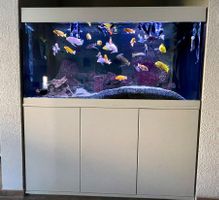 Aquarium 60L mit Zubehör a. Komplettset (Wert Fr.485.00)