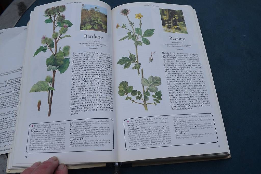 Libri: Planzen Medi Buch – Usato da Brügg BE venduto da Aristotolius 4