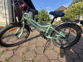 Kinderfahrrad Leopard 20 Zoll grün gebraucht