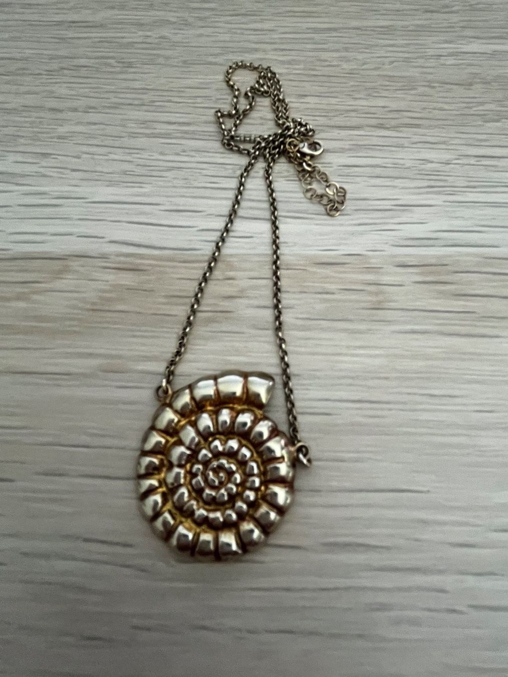 Catenine: SORU Muschelkette – Usato da Selzach venduto da anjasheila 2